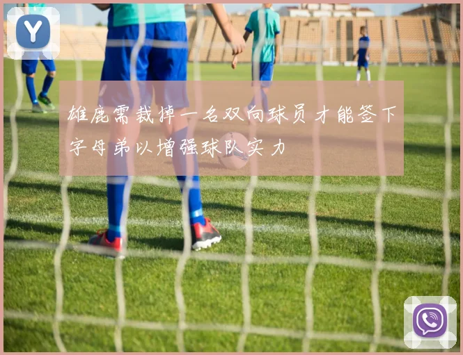 雄鹿需裁掉一名双向球员才能签下字母弟以增强球队实力